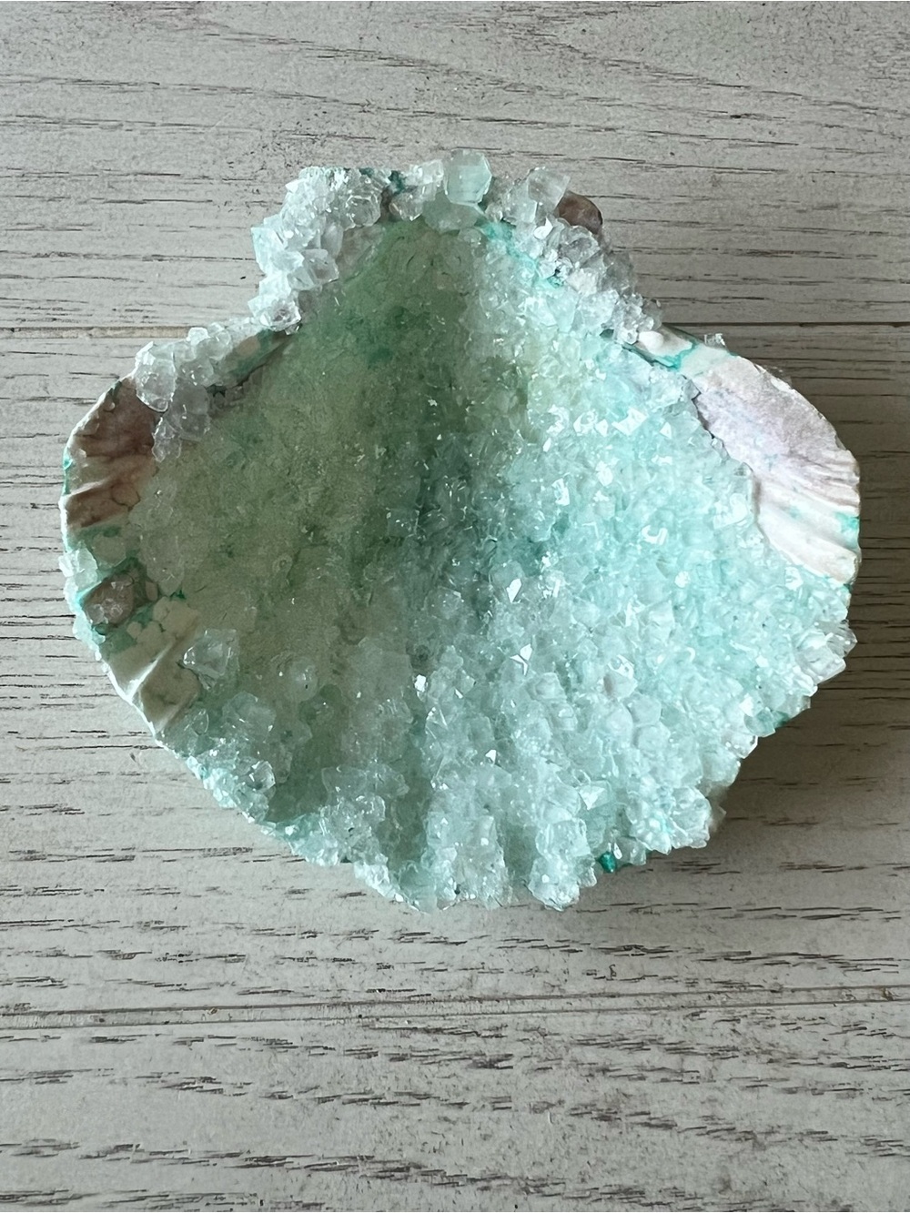 Seafoam Aqua Crystal Sea Shell Decorative Accent
